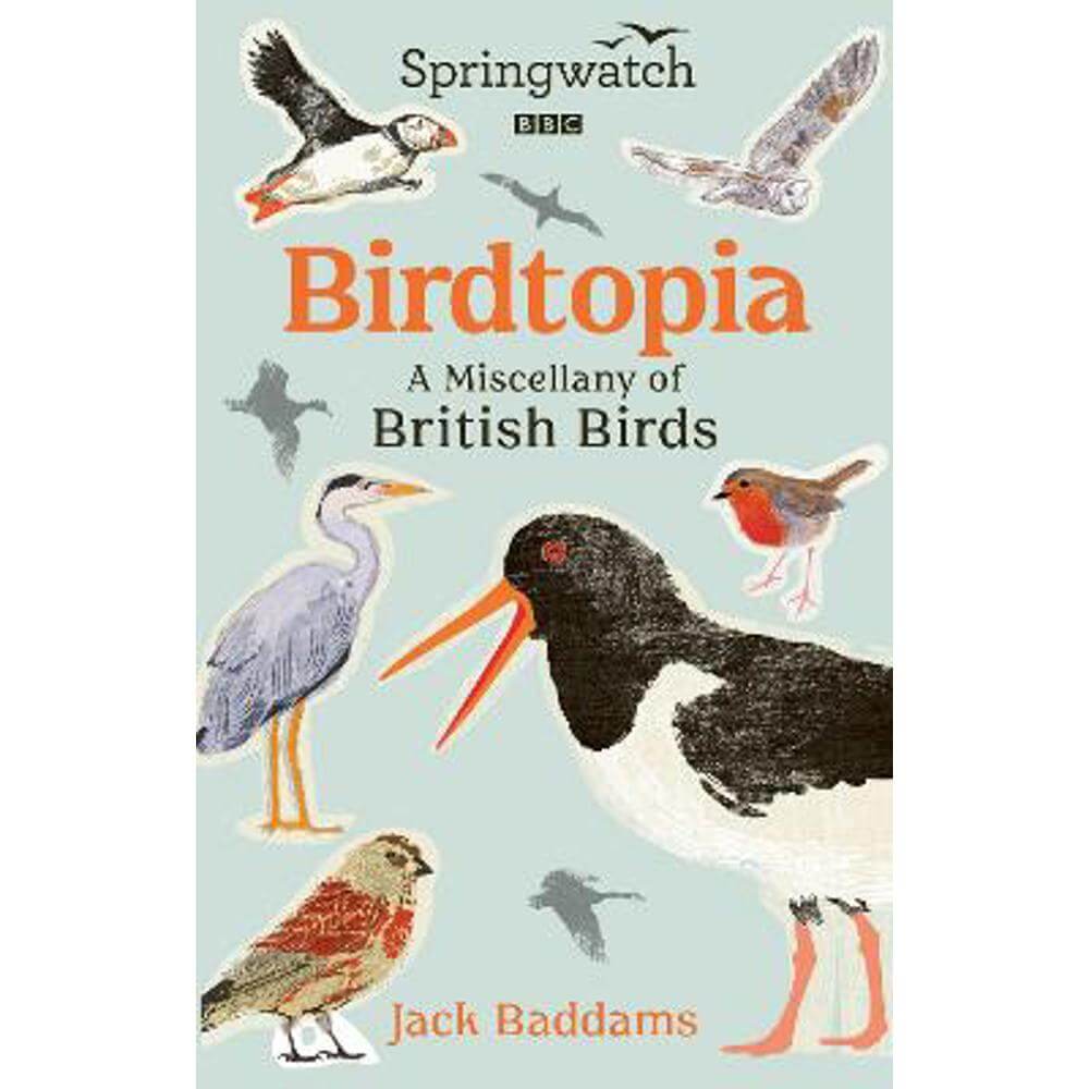 Springwatch: Birdtopia (Hardback) - Jack Baddams